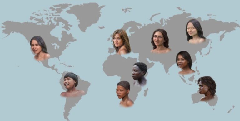 EVOLUTION OF HUMAN SKIN COLOUR