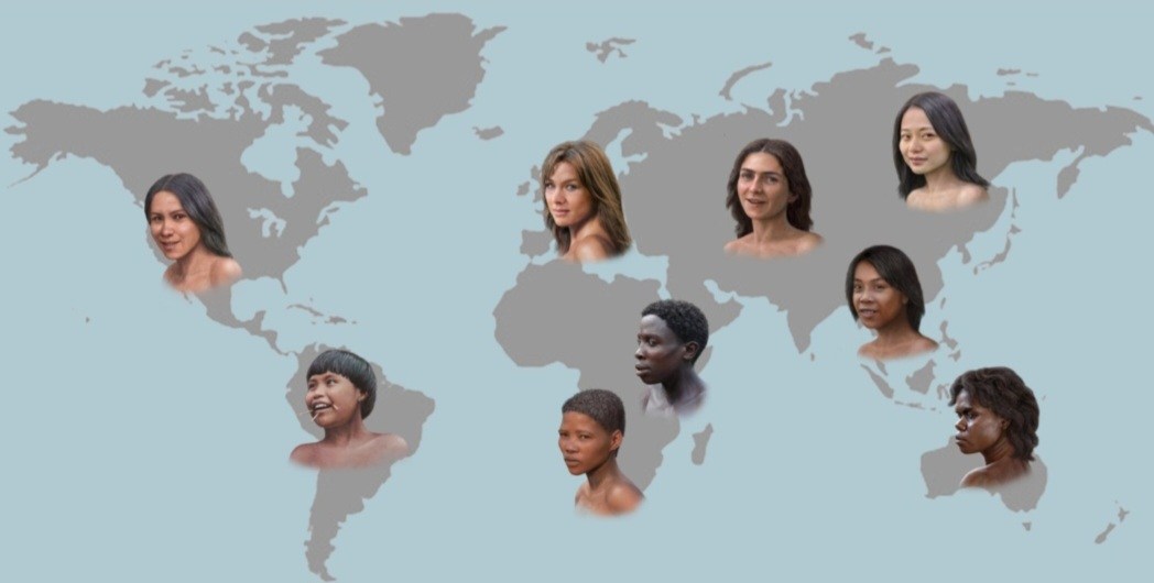EVOLUTION OF HUMAN SKIN COLOUR