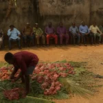 MY RESPONSE TO FR. KELVIN UGWU ON THE ONGOING DISCUSSION ABOUT BURYING OUR DEAD WITH COWS